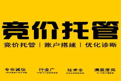 SEM广告投放优化：经典案例分享